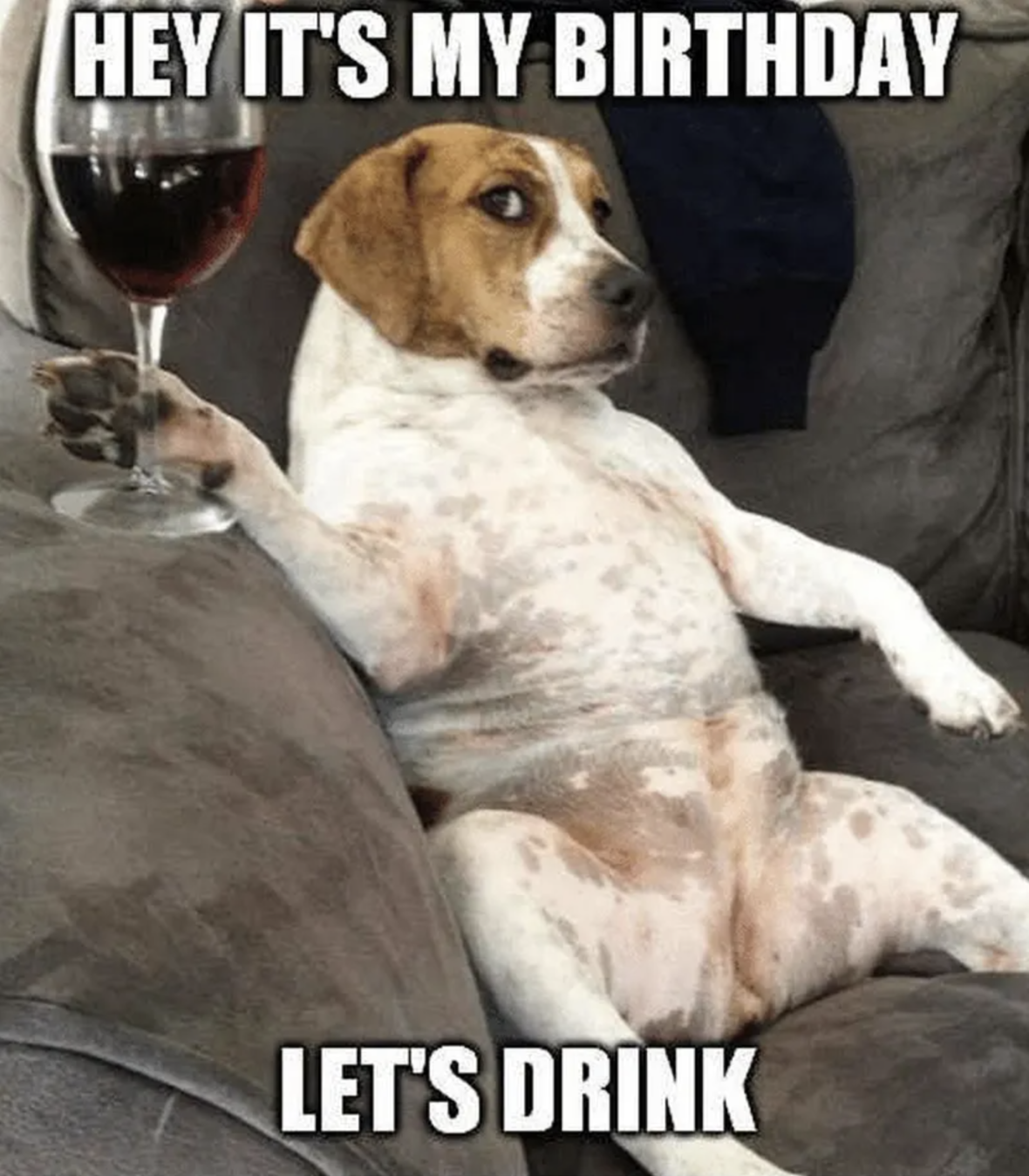 Dog Birthday Meme