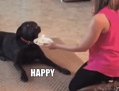 Dog Birthday Memes