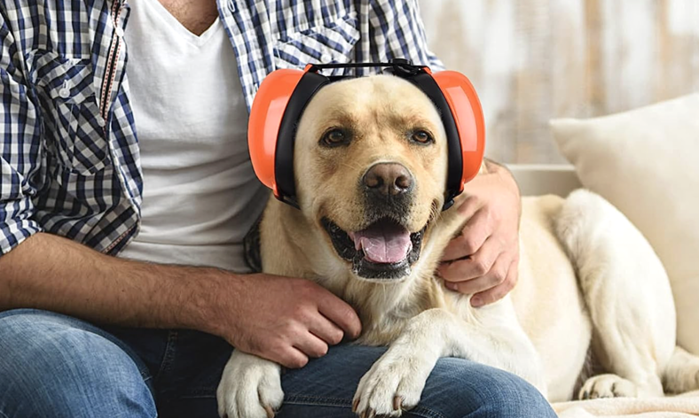 Noise-Cancelling Headphones for Dogs