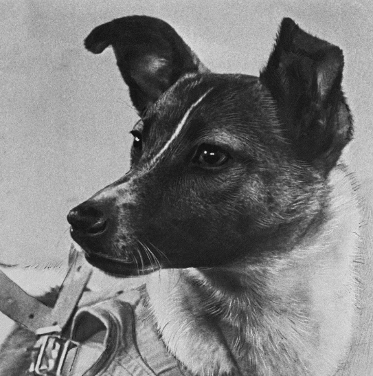Like Sputnik, Laika became an icon of early Soviet space exploration (Credit: Alamy)