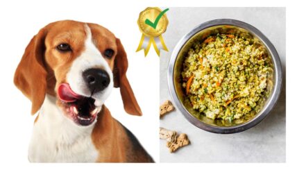 4 Best Allergy-Friendly Homemade Dog Food Recipes