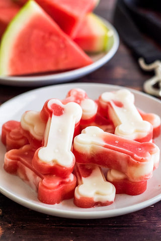 watermelon popsicles for dogs