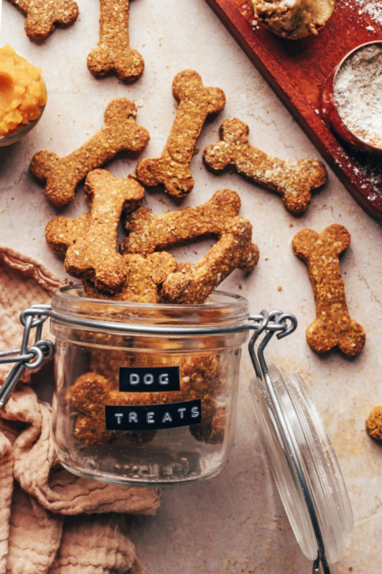 How To Make Homemade Pumpkin Dog Treats—5 Easy Recipes - Rocky Kanaka