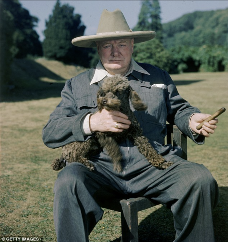Rufus, Winston Churchill's Poodle