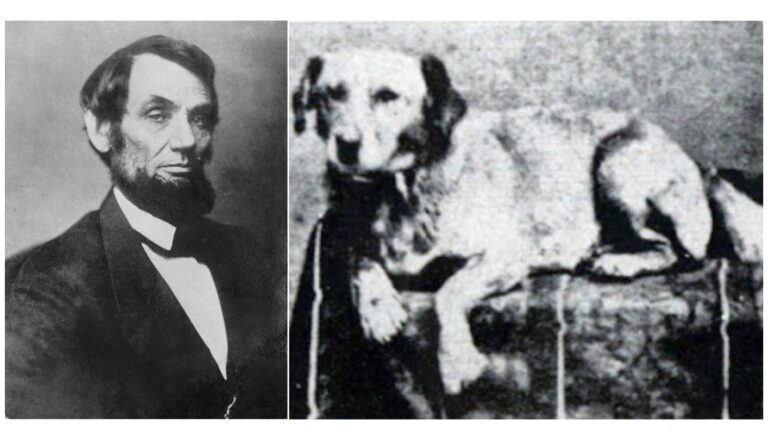 87% of Presidents Had Dogs —But These Six Didn’t! See the Full List of White House Dogs!