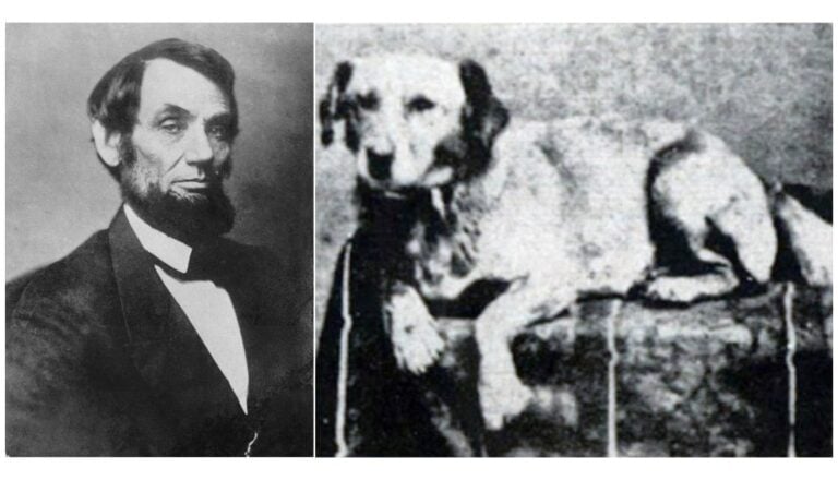 Abraham Lincoln and his Dog, Fido