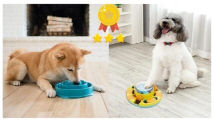8 Best Slow Feeders For Dogs Who Gobble Their Grub