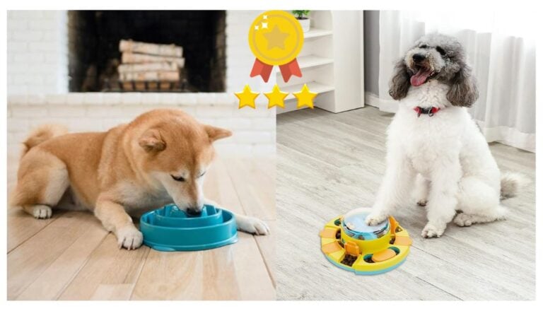 Best Slow Feeders For Dogs