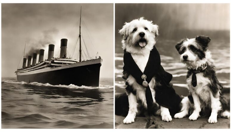 Meet The 12 Dogs On Titanic and the 3 That Miraculously Survived ...