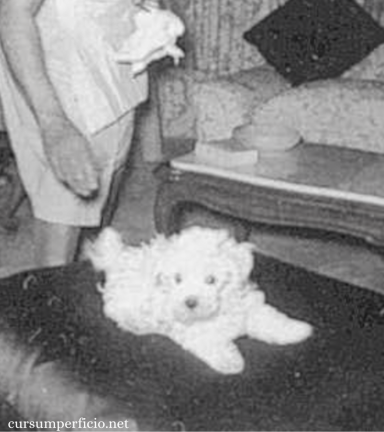 Sinatra's Secret Gift to Marilyn Monroe: A Fluffy Dog with a Mobster's Name