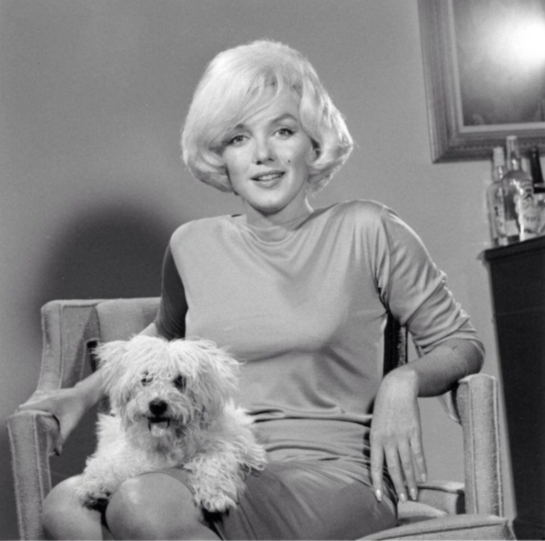 Sinatra's Secret Gift to Marilyn Monroe: A Fluffy Dog with a Mobster's Name