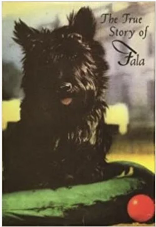 Fala, the Scottish Terrier of President Franklin D. Roosevelt 