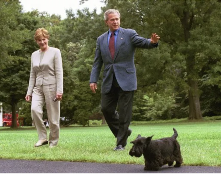 Barney and Miss Beazley: Companions to President George W. Bush