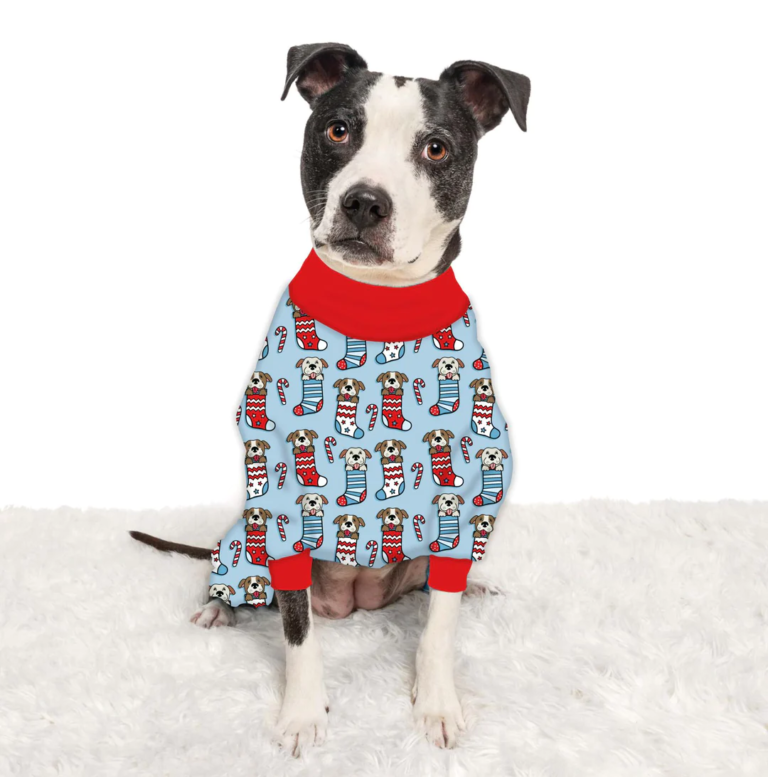 Dog Pajama Sets: Matching dog and owner pajamas