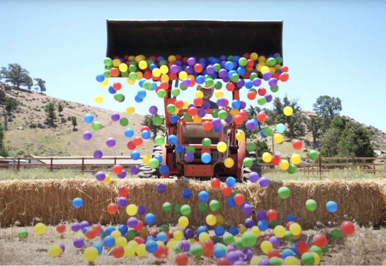 Watch This Frenchie's Reaction as He Dives into a Giant Ball Pit