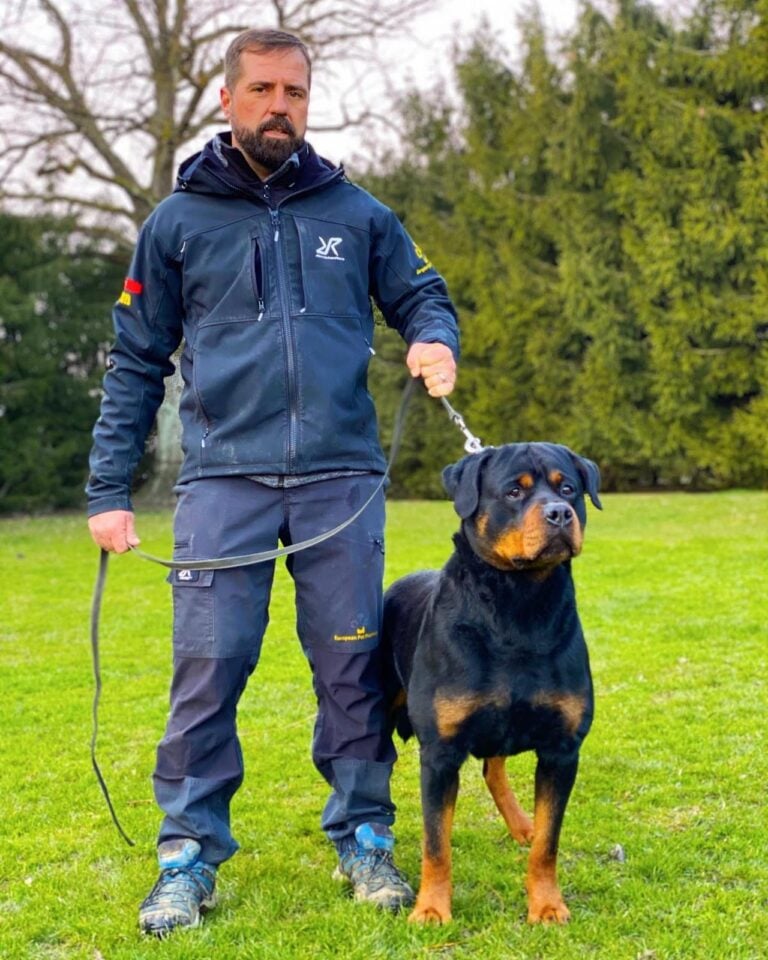 overrated dog breeds- rottweilers