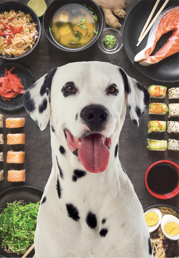 Asian Food-Inspired Names For Dogs