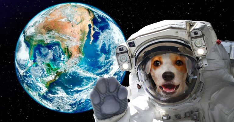 Space Names for Dogs
