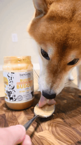 dog eating peanut butter