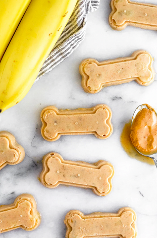 peanut Butter, Banana & Coconut Oil Pupsicle Recipe for dogs