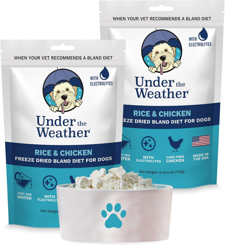 What To Feed a Dog With an Upset Stomach