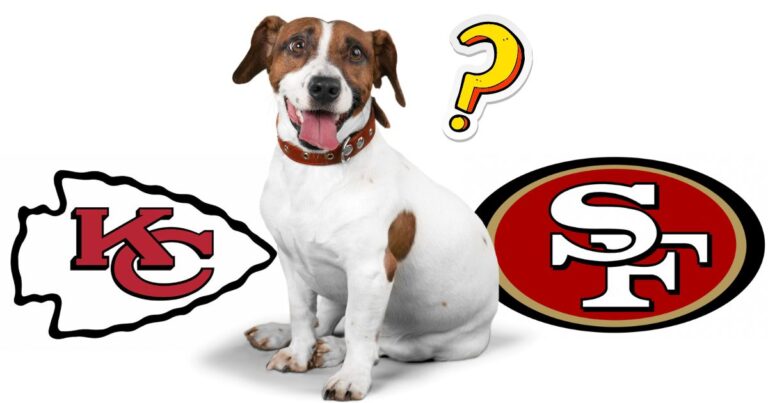 Chiefs or 49ers? Rescue Dogs Compete to Select 2024 Super Bowl Champions
