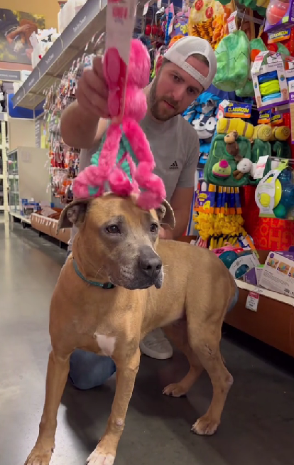 Dog Dad Pulls Out All The Stops To Give Shelter Pup Her Best Day Ever In Hopes Of Finding Her a “Furever Family”