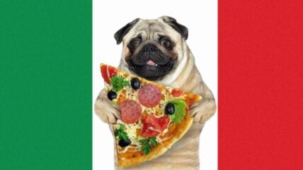 250 Bellissimo Italian Dog Names