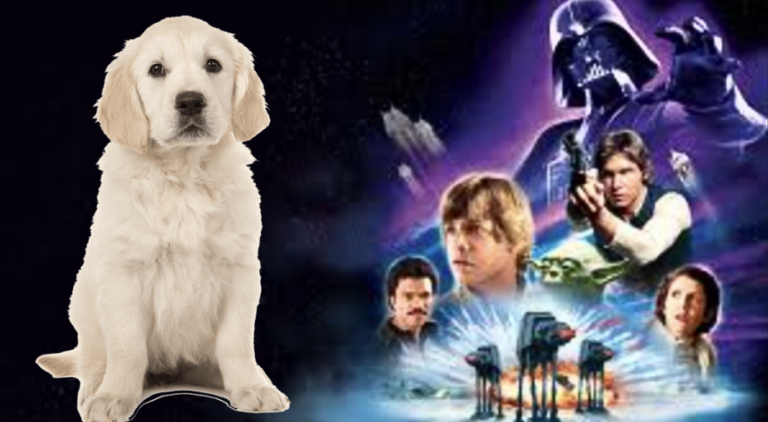 Star Wars Dog Names