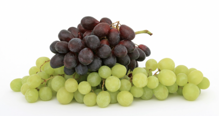 Can Dogs Eat Grapes? 