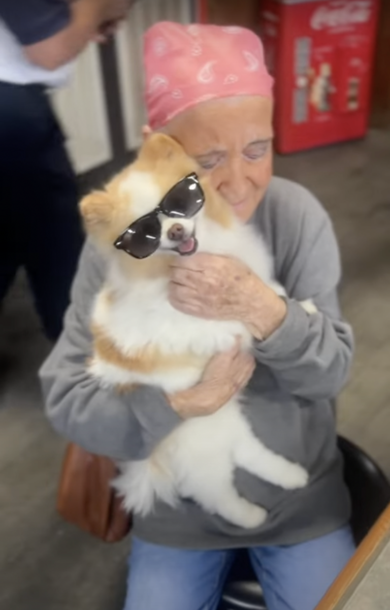 How a Viral Therapy Dog Brought Joy to a Cancer Patient's Final Weeks