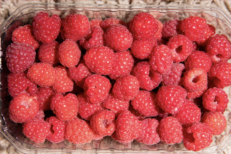Can Dogs Eat Raspberries?