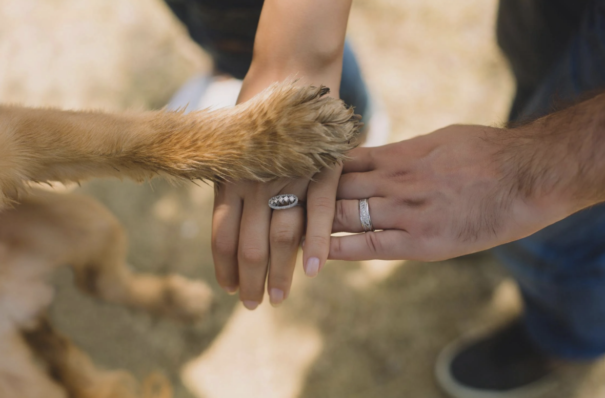 You Can See Yourself Spending the Rest of Your Life with Your Dog: dog having a paw on owner hands