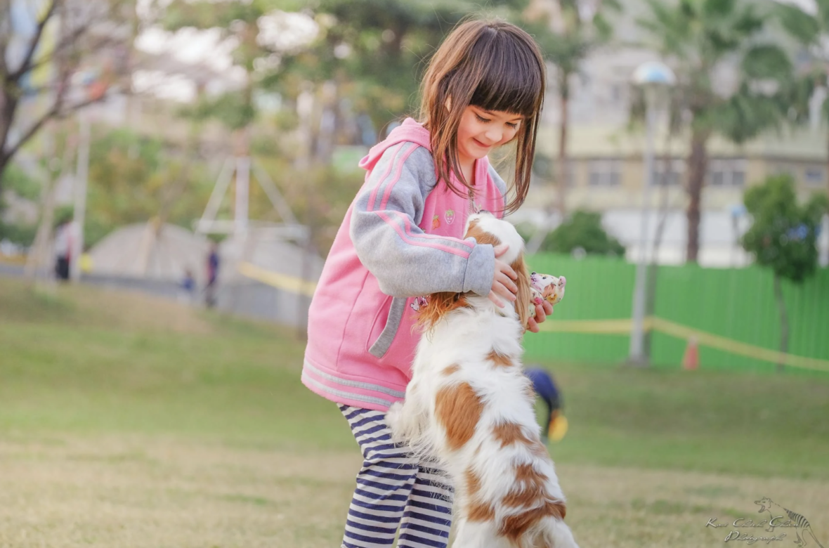 a little girl hugging a dog