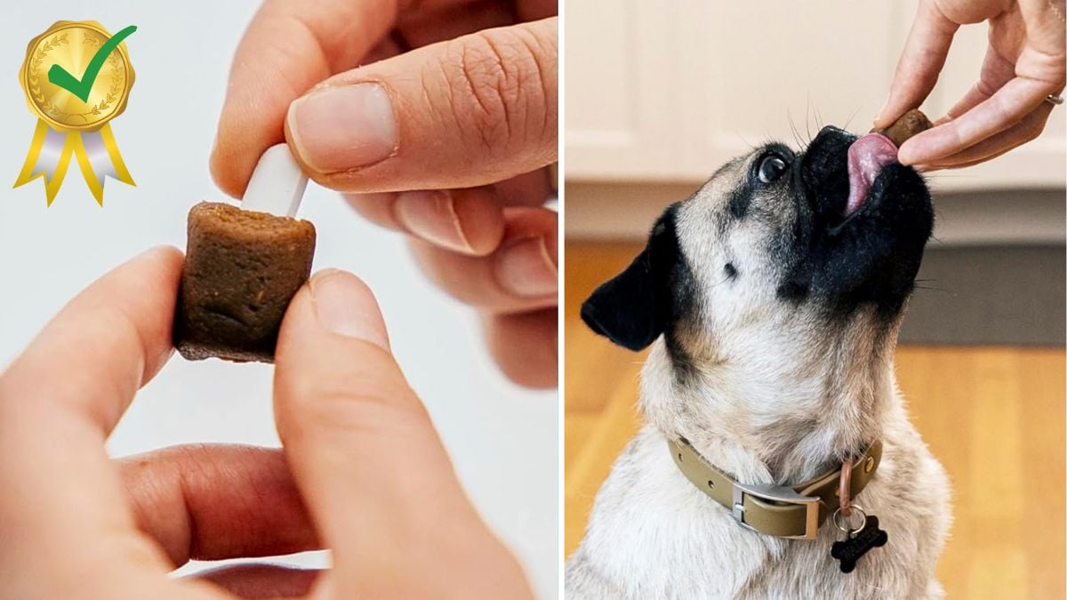 Top 5 Pill Pockets To Make Giving Dogs Medication Easier Rocky Kanaka