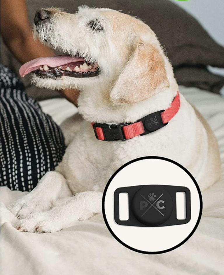 Top 6 Dog Collars & Tags With Built-In Tracking Devices Better Than AirTag