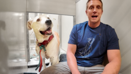 Watch What Happens When I Sing to a Shelter Dog!