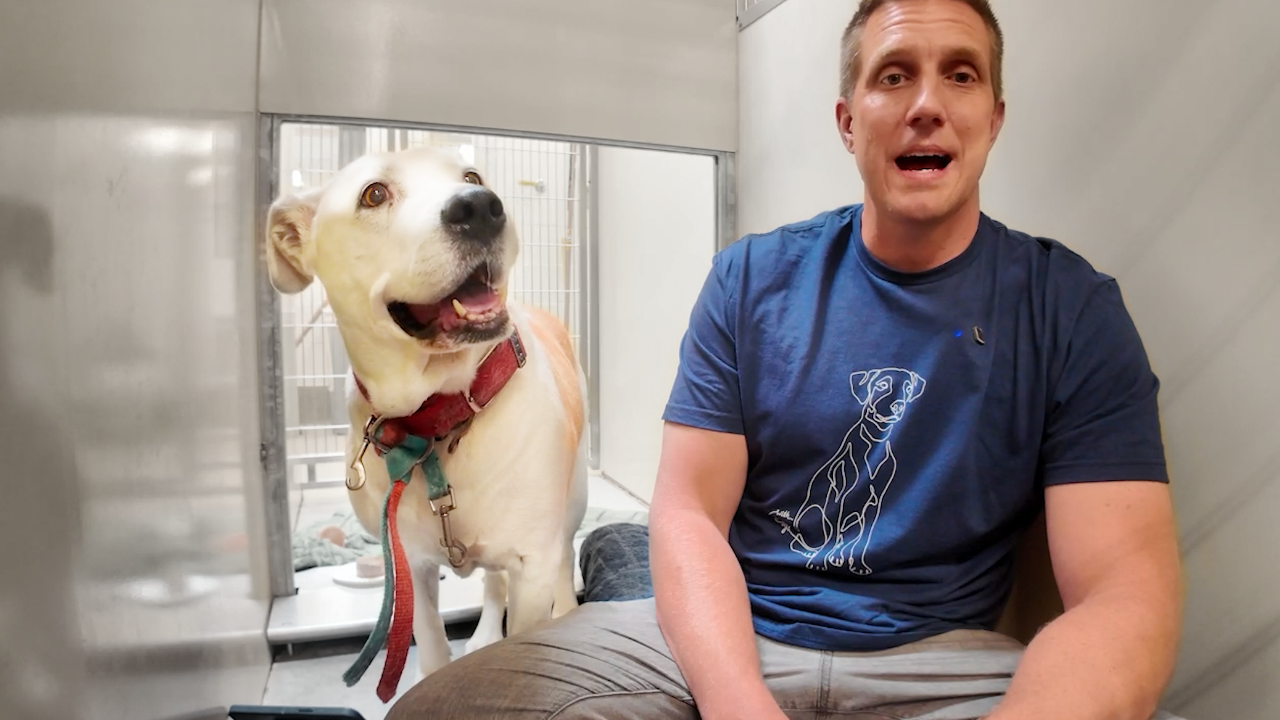 Watch What Happens When I Sing to a Shelter Dog! - Rocky Kanaka