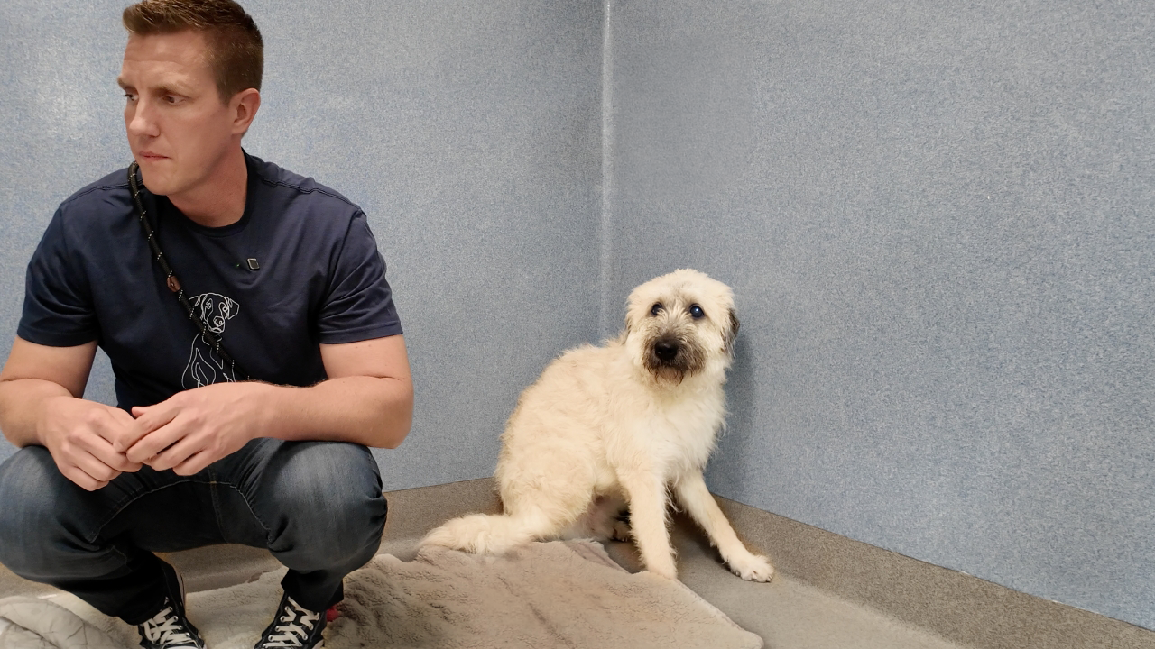 Sitting with a Scared Dog that's Lived Her ENTIRE Life at the Shelter ...