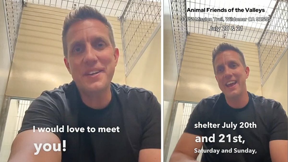 Rocky Kanaka Popular YouTuber Rocky Kanaka Aims to Empty an Entire Shelter of 140