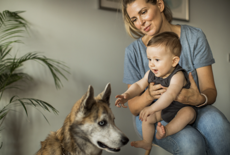 What To Expect When Dogs & Babies Meet