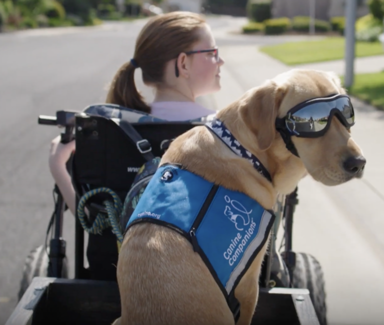 How This Service Dog Transformed a 12-Year-Old Girl’s  Life After Paralysis