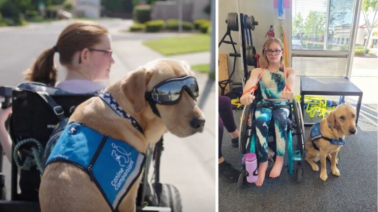 How This Service Dog Transformed a 12-Year-Old Girl’s  Life After Paralysis