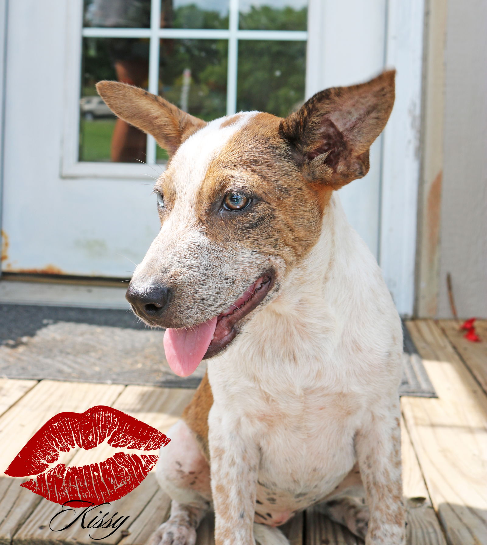 Kissy Magness *LOCAL*