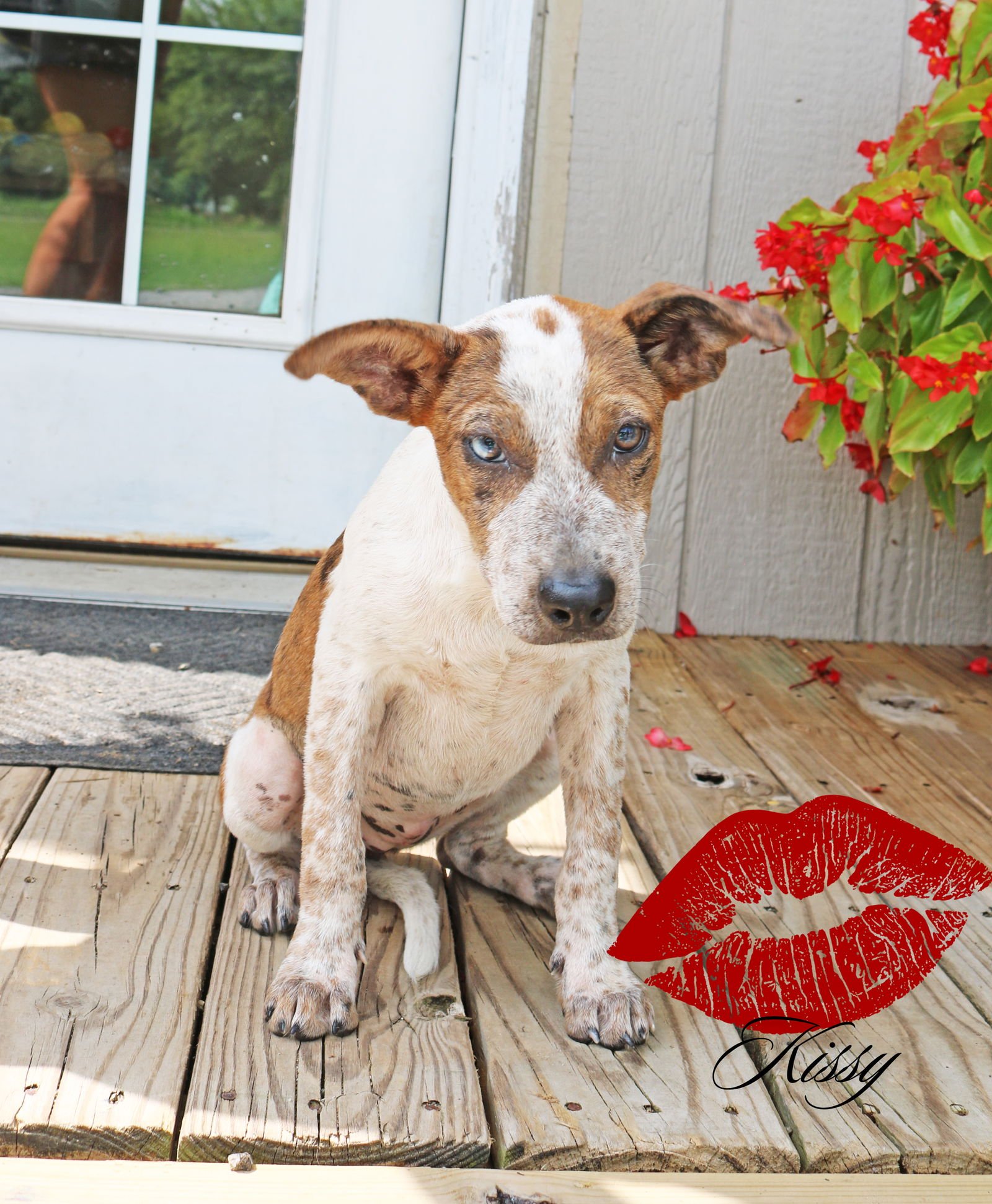Kissy Magness *LOCAL*
