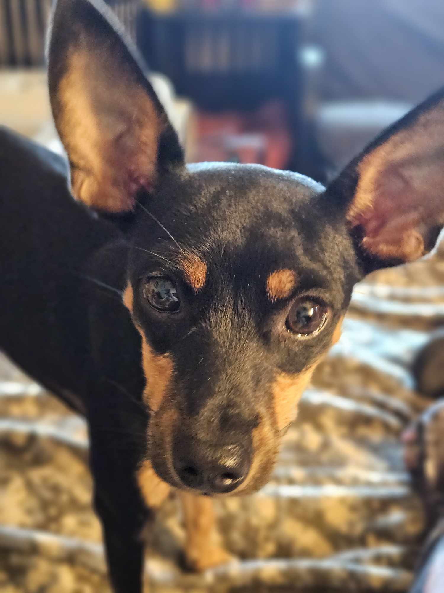 Chloe