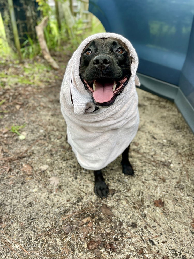 Sweetie (Ruby)