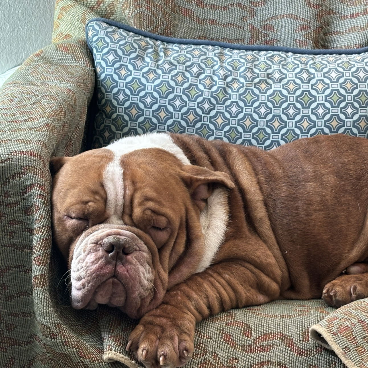 Wilbur