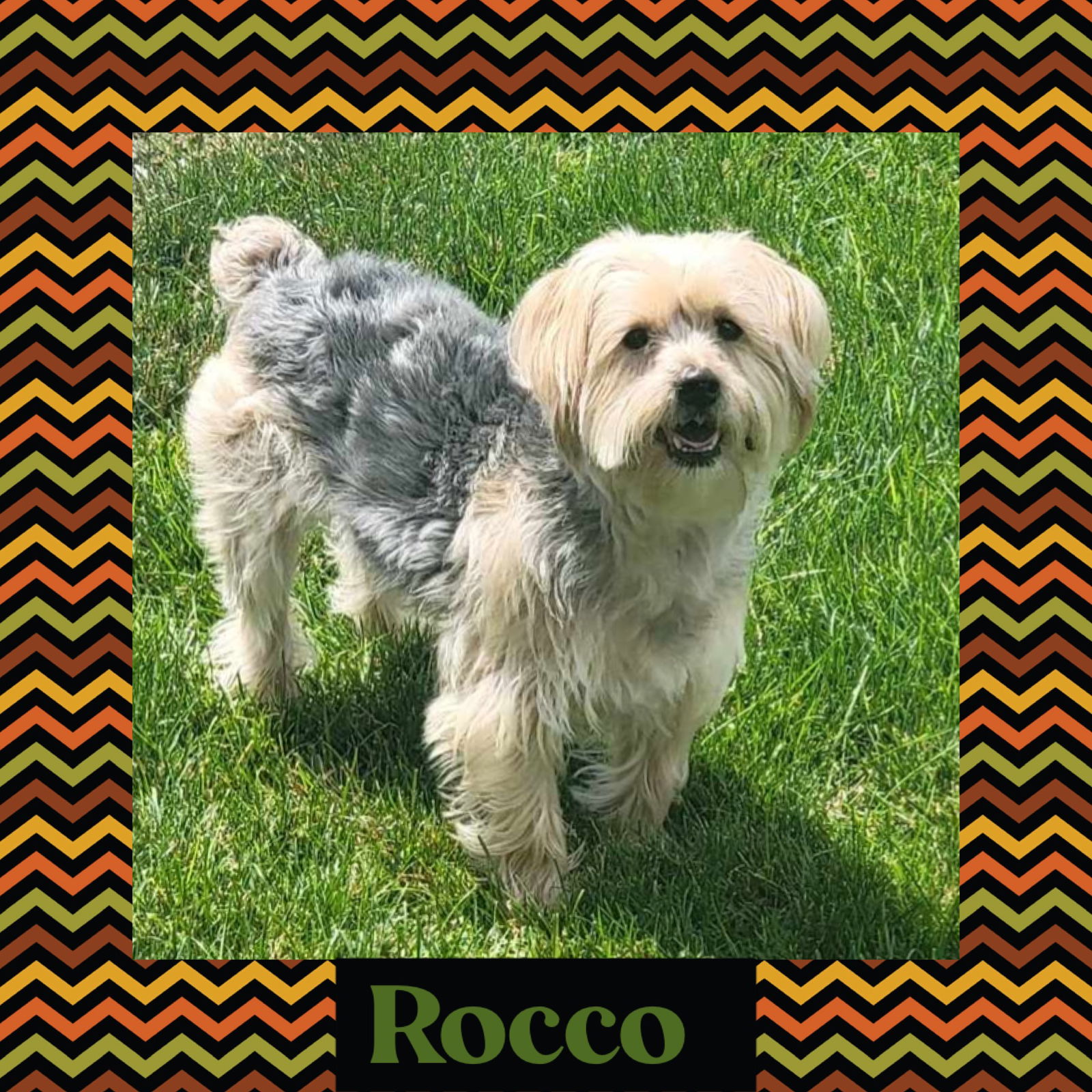 Rocco