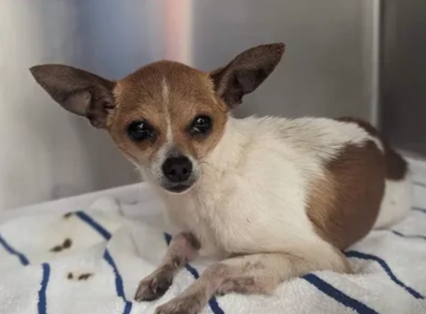 Missy in TX